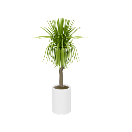 Planta da casa  3D Icon