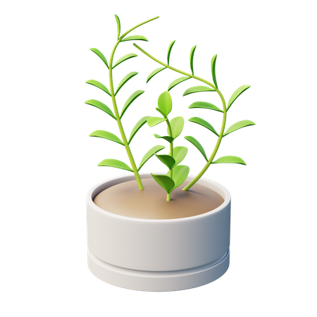 Planta de cera  3D Icon