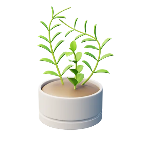 Planta de cera  3D Icon