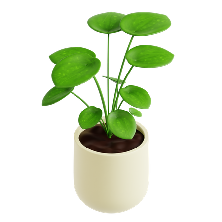 Planta de dinero  3D Icon