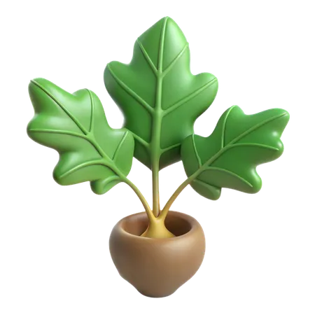 Planta de higuera de hoja de violín  3D Icon