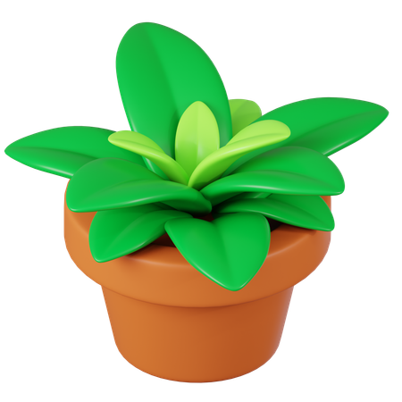 Vaso de planta  3D Icon