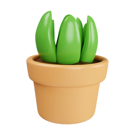 Plantar em vaso  3D Icon