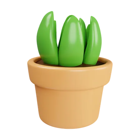 Plantar em vaso  3D Icon