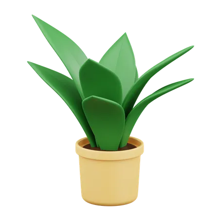 Planta en maceta  3D Icon