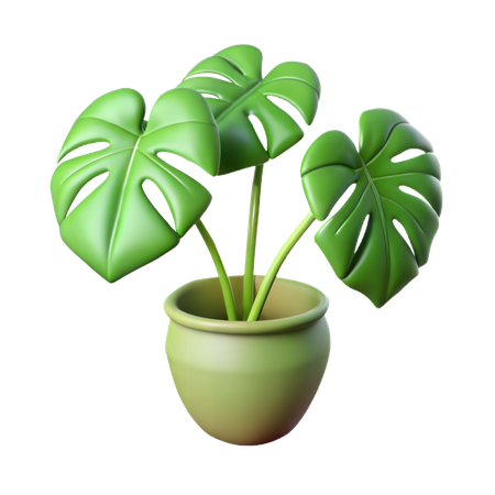 Planta de filodendro  3D Icon