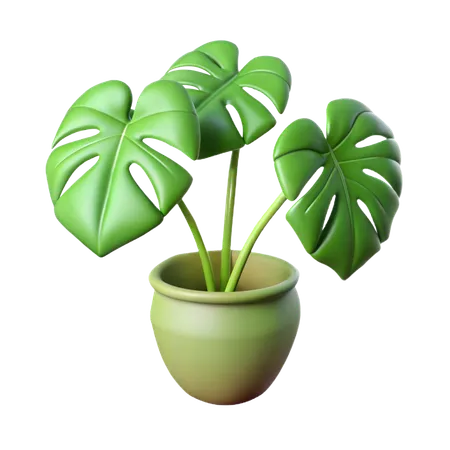 Planta de filodendro  3D Icon