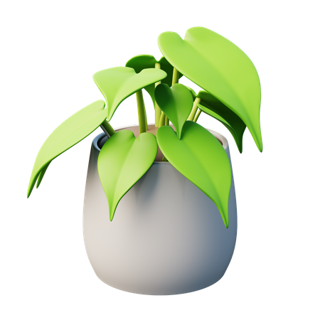 Planta Filodendro Folha-Coração  3D Icon