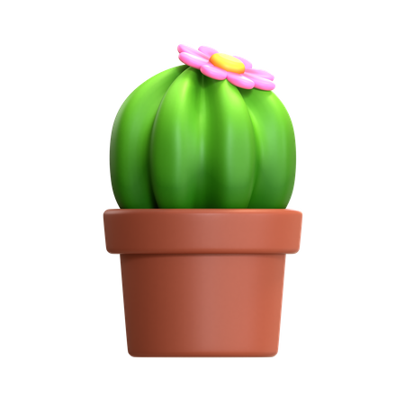 Mini cactus  3D Icon