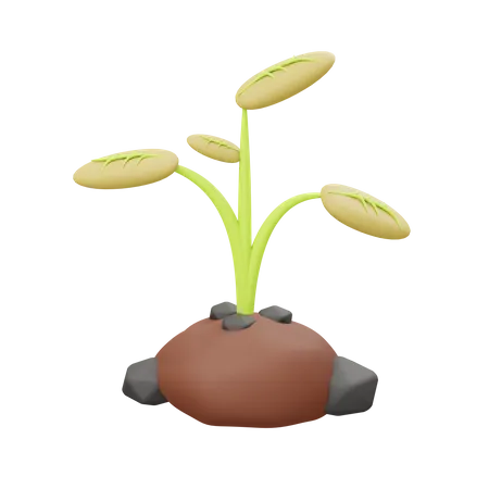 Plantación  3D Illustration