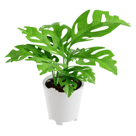 Plante au cœur brisé  3D Icon