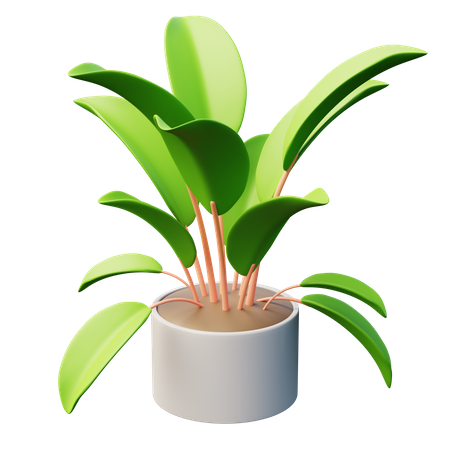 Plante d'hévéa  3D Icon