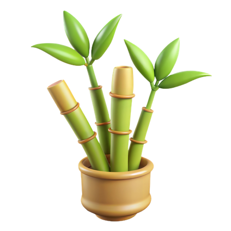 Plante de bambou  3D Icon