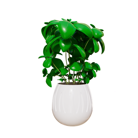 Plante d'appartement  3D Icon