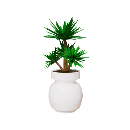 Plante d'appartement  3D Icon