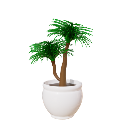 Plante d'appartement  3D Icon