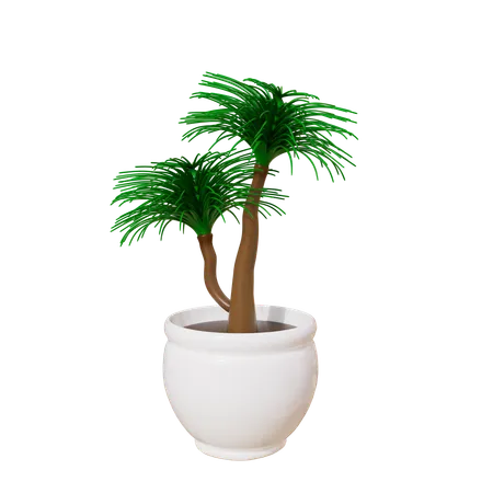 Plante d'appartement  3D Icon