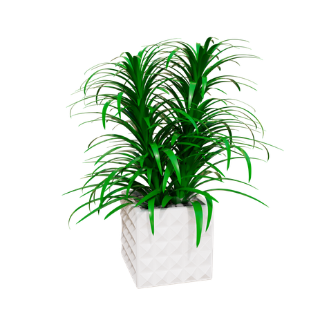 Plante d'appartement  3D Icon