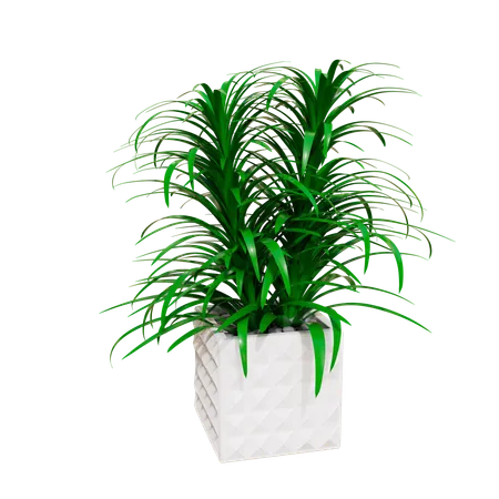 Plante d'appartement  3D Icon