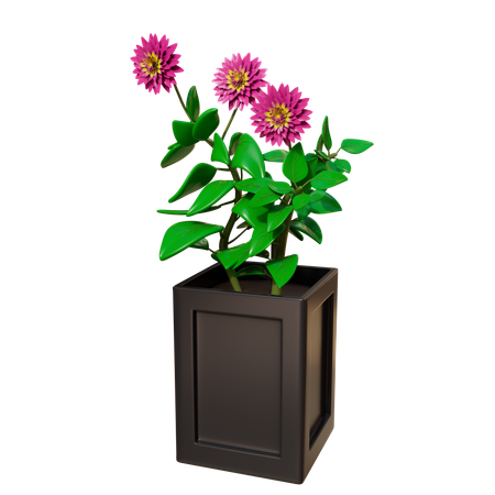 Plante d'appartement  3D Icon