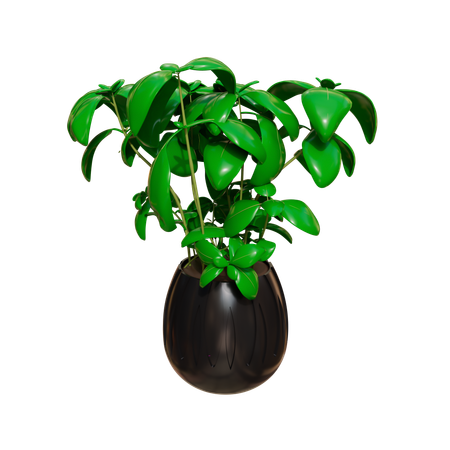 Plante d'appartement  3D Icon