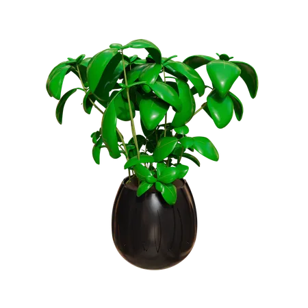 Plante d'appartement  3D Icon