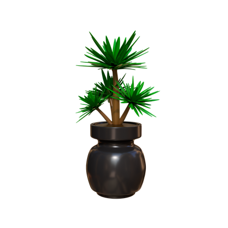 Plante d'appartement  3D Icon