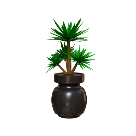 Plante d'appartement  3D Icon