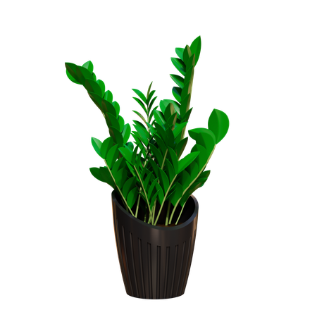 Plante d'appartement  3D Icon