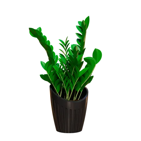 Plante d'appartement  3D Icon