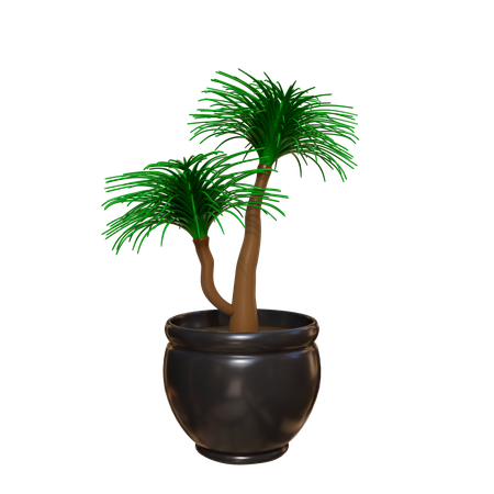 Plante d'appartement  3D Icon