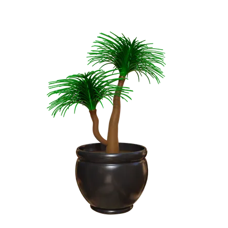 Plante d'appartement  3D Icon