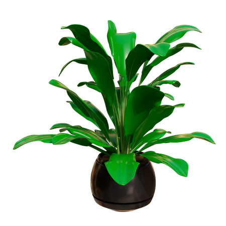 Plante d'appartement  3D Icon