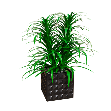 Plante d'appartement  3D Icon