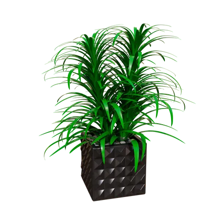 Plante d'appartement  3D Icon