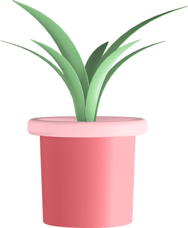 Plante en pot  3D Illustration