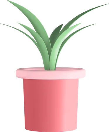 Plante en pot  3D Illustration