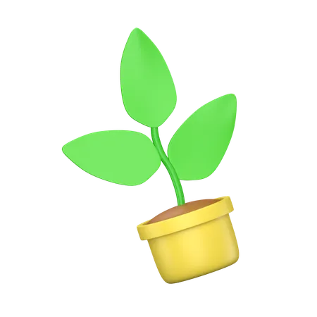 Plante en pot  3D Icon