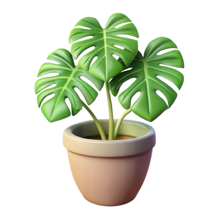 Plante Monstera en pot  3D Icon