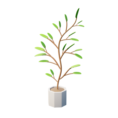 Plante en pouces  3D Icon