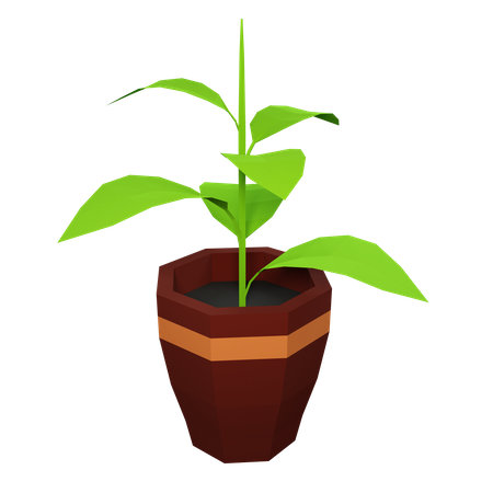 Plante verte  3D Illustration