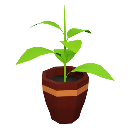 Plante verte  3D Illustration