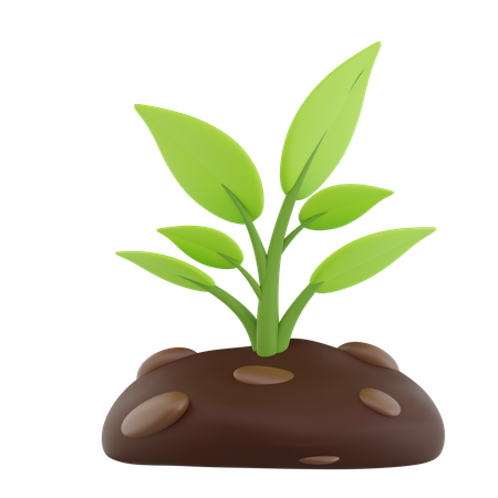 Plants  3D Icon