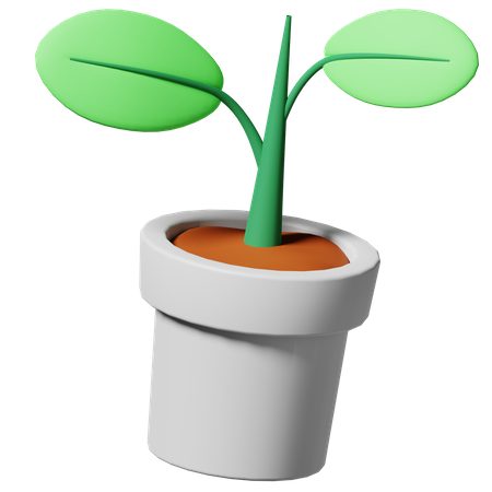 Plants Pot  3D Icon