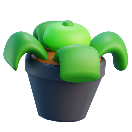 Pot  3D Icon