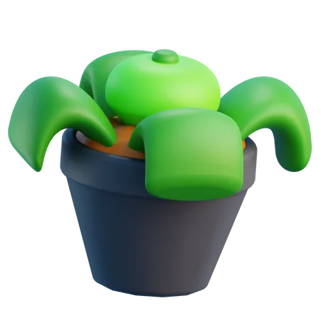 Pot  3D Icon