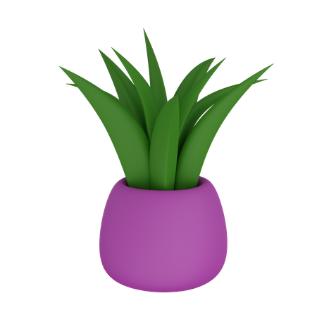 Pot  3D Icon