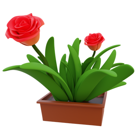 Potted Grass  3D Icon