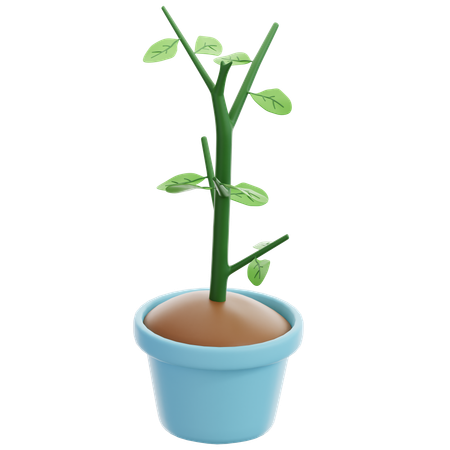 Potted plants  3D Icon