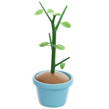 Potted plants  3D Icon